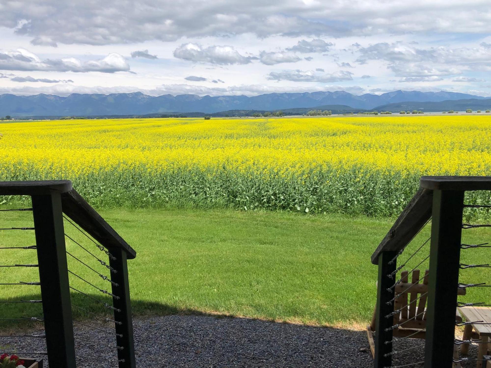 New Cabin With Spectacular Views Of Flathead Lake. Somers Ngoại thất bức ảnh