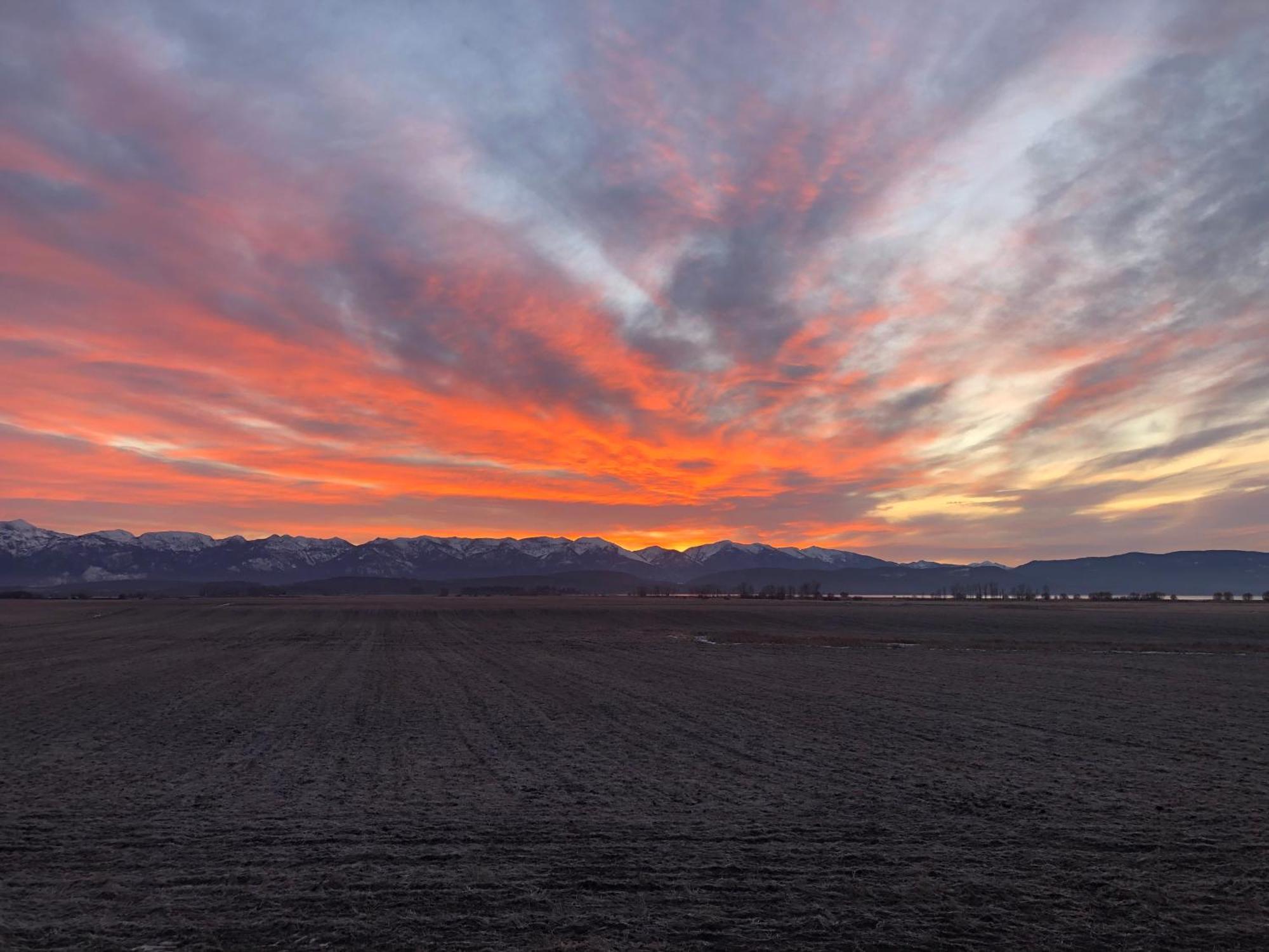 New Cabin With Spectacular Views Of Flathead Lake. Somers Ngoại thất bức ảnh